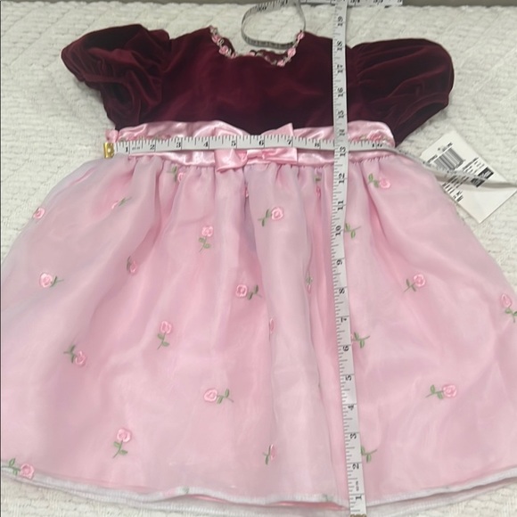 Vintage Dress Baby Toddler  Pink Maroon Roses Velvet Tulle Girl Formal Easter - Picture 7 of 11